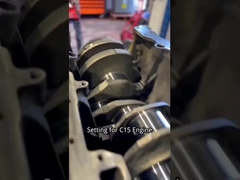 Impostazione per l'assemblaggio del motore diesel per il Cater C15